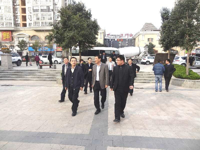 省食安办副主任省食药局副局长到宝龙新时代商厦验收工作