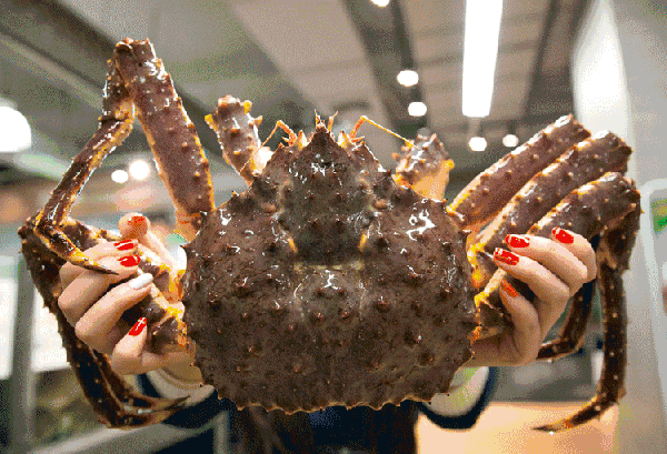 【时代儒商】胶东码头海鲜城淮扬菜、鲁菜、海鲜超多美味！满足您的味蕾~~